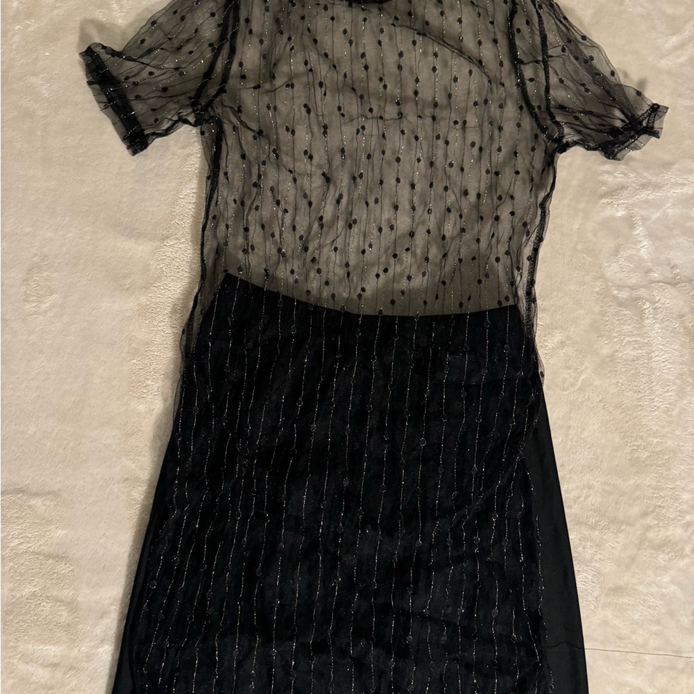 Elegant Black Sheer Dress
